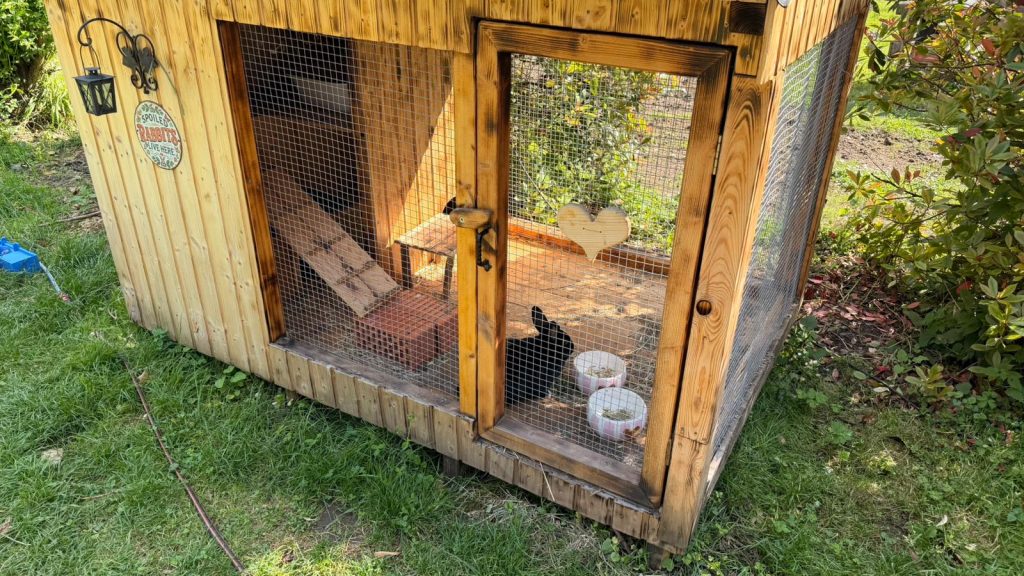 Hasen im selbstgebauten Hasenstall